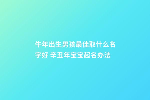 牛年出生男孩最佳取什么名字好 辛丑年宝宝起名办法